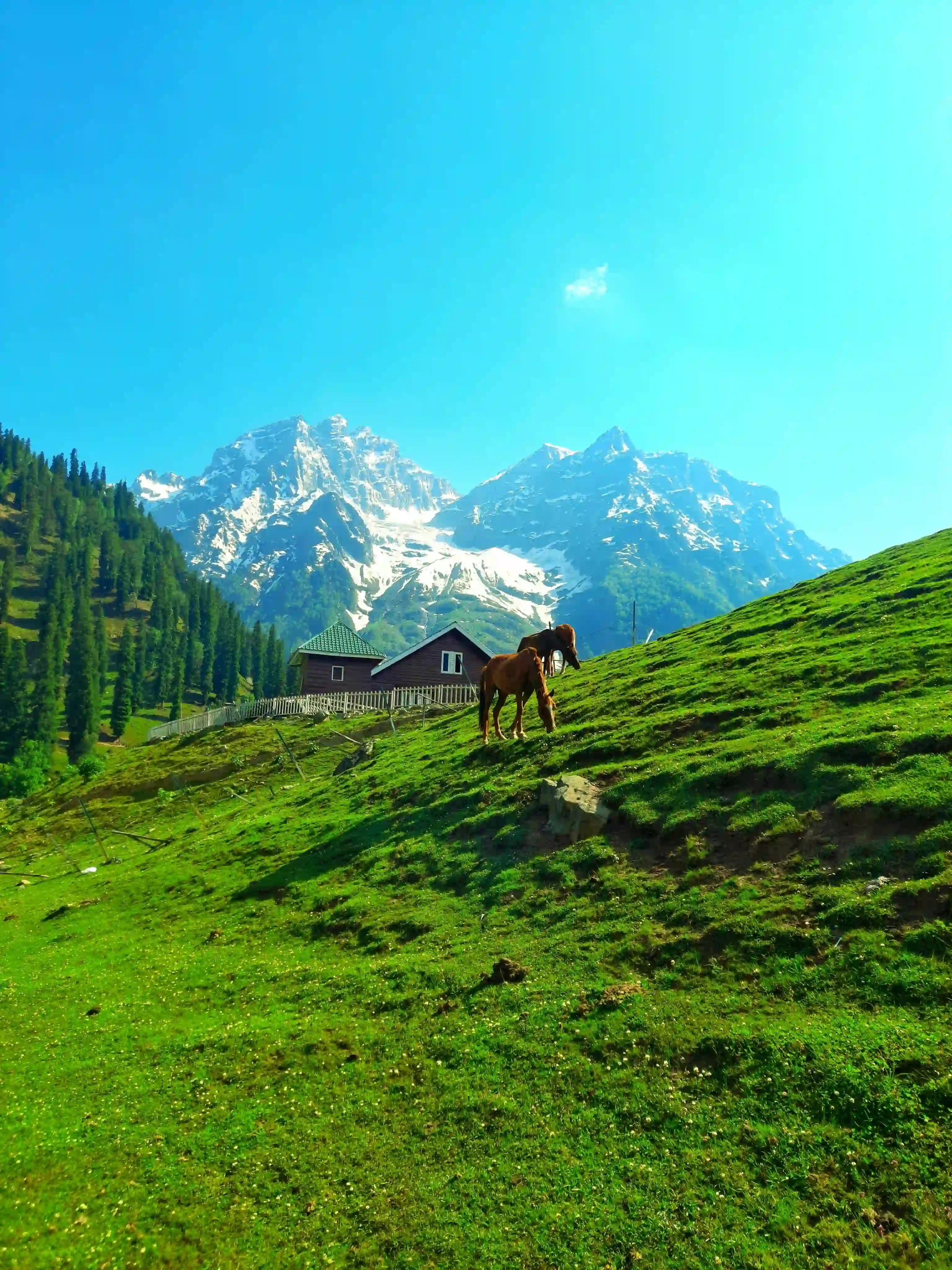 Kashmir Himachal and Ladakh Mountain Tour Package