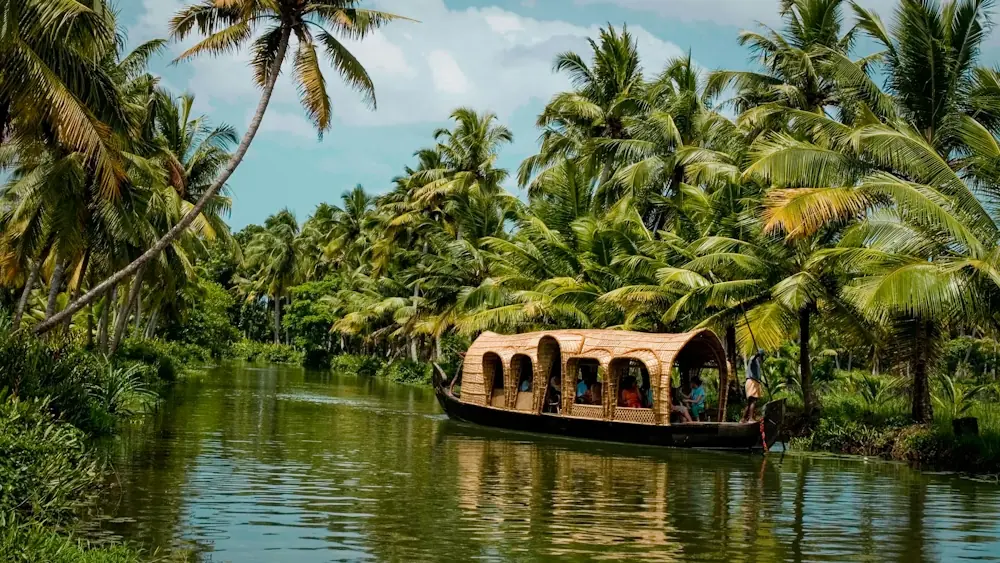 Kerala backwaters and greenery